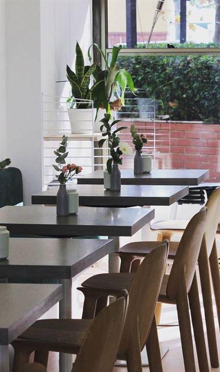 Venery - Holiday Find 4