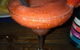 Kacy’s Restaurant - thumb 1