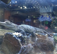 Tims Surf n Turf - Holiday Find