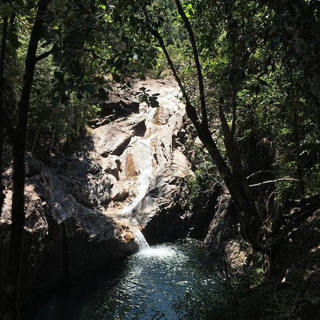 Pinevale QLD Holiday Find
