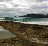Bruny Island Berry Farm - Holiday Find