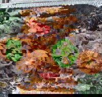 Cairo Cafe - Holiday Find