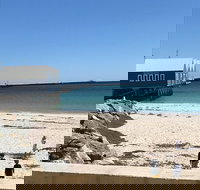 The Goose Bar  Kitchen - Holiday Find