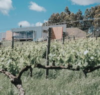 Green Door Winery  Cafe - Holiday Find