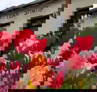 Tiny Tea Shop - Holiday Find