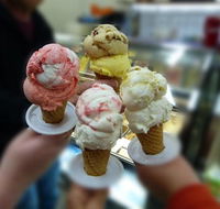 Artisan Gelato - Holiday Find