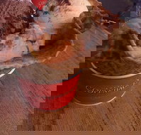 Royal Copenhagen Ice Cream Cone - Holiday Find