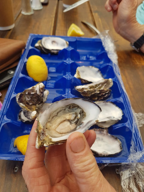 Beachcomber - Holiday Find 3