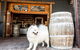 Smiling Samoyed Brewery - thumb 0