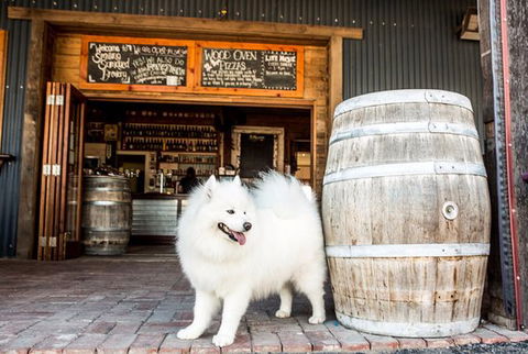 Smiling Samoyed Brewery - Holiday Find 0