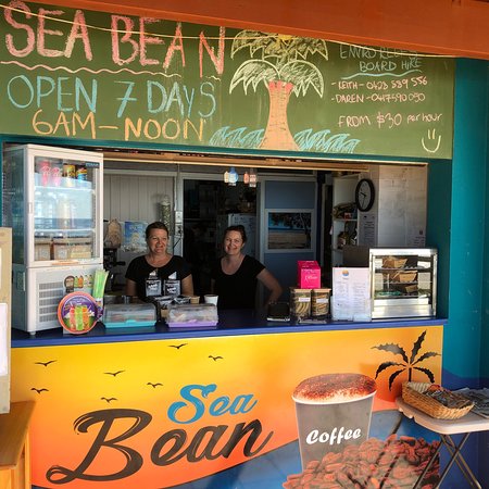 Sea Bean - Holiday Find 0