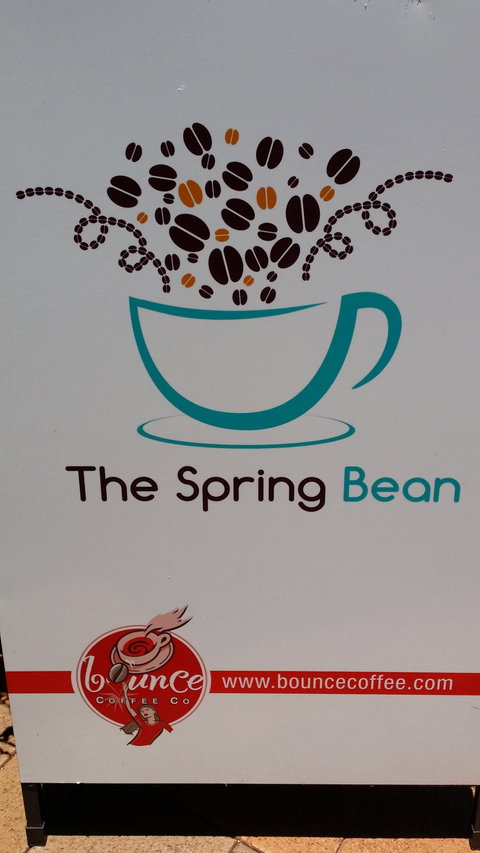 The Spring Bean - Holiday Find 1