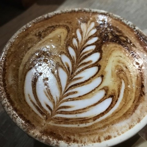 The Spring Bean - Holiday Find 2