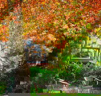 The Woods Ravensbourne - Holiday Find