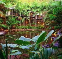 Daintree Eco Lodge  Spa - Holiday Find