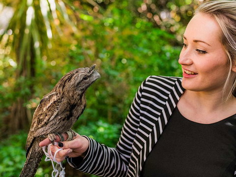 Mount Lofty House - Holiday Find 1