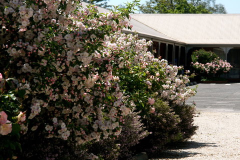 Wine Village Motor Inn - Holiday Find 0