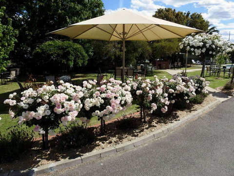 Wine Village Motor Inn - Holiday Find 1