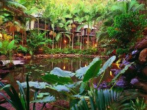 Daintree Eco Lodge & Spa - Holiday Find 0