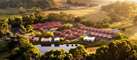 Tall Timbers - Holiday Find 0