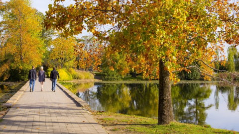 Crowne Plaza Canberra - Holiday Find 17