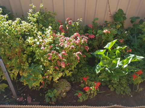 Tanunda\'s Magpie House - Holiday Find 24