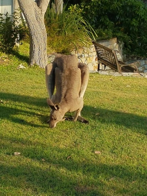 \'Point Break\' Your Waterfront Break At The Point - Holiday Find 12