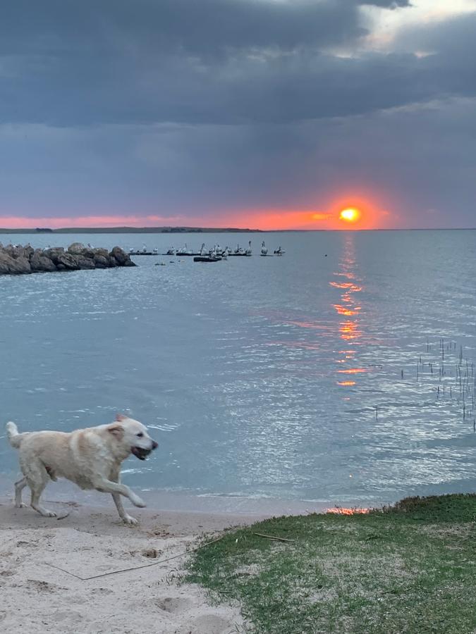 Meningie East SA Holiday Find