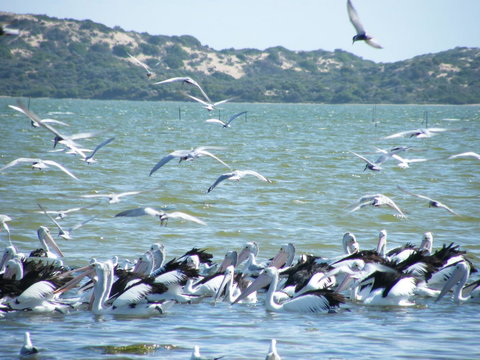 Coorong Waterfront Retreat - Holiday Find 25