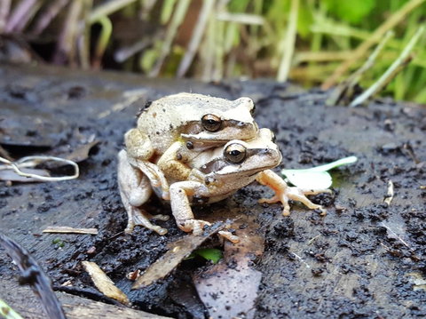 Coorong Waterfront Retreat - Holiday Find 30