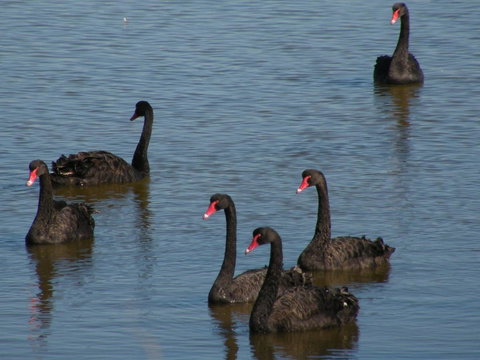 Coorong Waterfront Retreat - Holiday Find 26