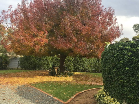 Barossa Retro BnB - Holiday Find 30