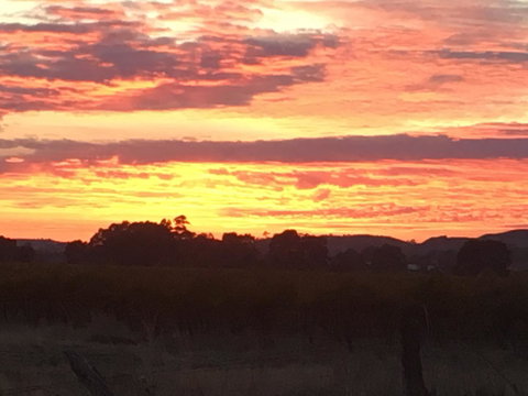 Barossa Retro BnB - Holiday Find 21