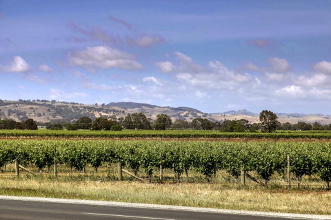 Barossa Retro BnB - Holiday Find 2