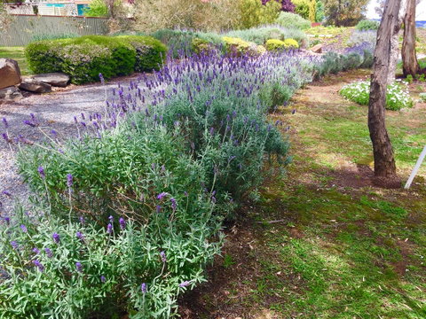 Barossa Retro BnB - Holiday Find 23