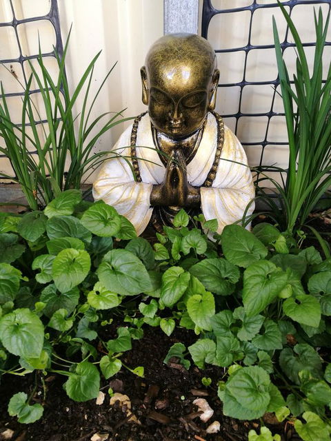 Hilda Anna's - Holiday Find 44
