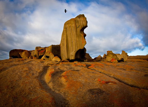 Penneshaw Oceanview Apartments - Holiday Find 23