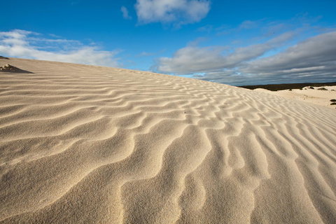 Penneshaw Oceanview Apartments - Holiday Find 24