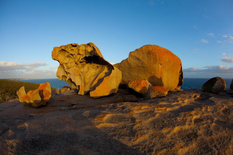 Penneshaw Oceanview Apartments - Holiday Find 21