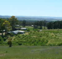 Taralee Orchards - Holiday Find