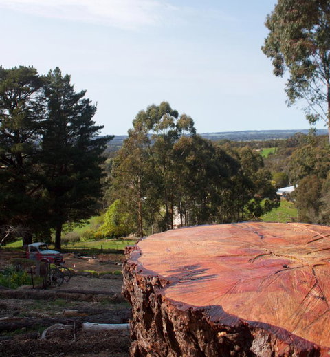 Longwood Retreat - Holiday Find 38