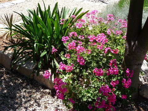 Country Bakehouse Accommodation - Holiday Find 18