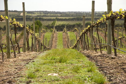 Lakeview Motel And Apartments - Holiday Find 37