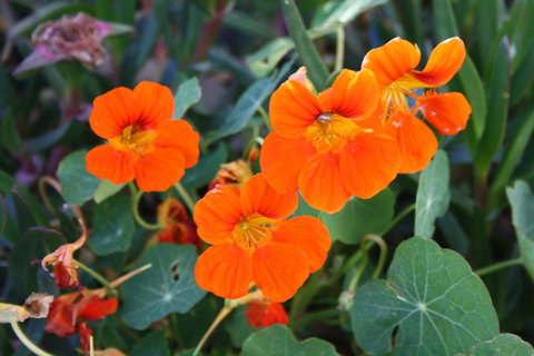 Lakeview Motel And Apartments - Holiday Find 20