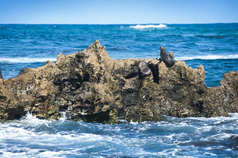 Lakeview Motel And Apartments - Holiday Find 24