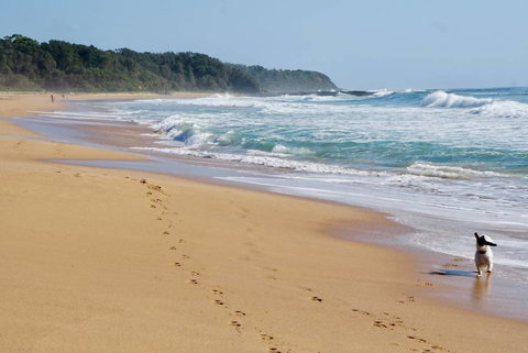 Culburra Beachhouse - Holiday Find 7