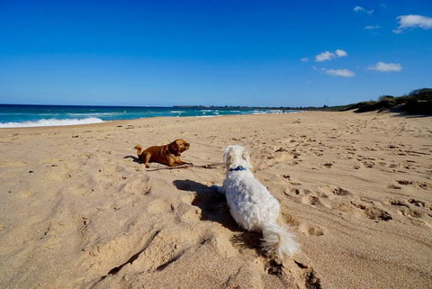 Culburra Beachhouse - Holiday Find 8