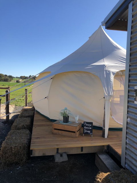 Bukirk Glamping & Fancy Coops - Holiday Find 11