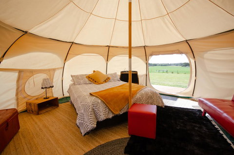 Bukirk Glamping & Fancy Coops - Holiday Find 8