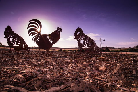 Bukirk Glamping & Fancy Coops - Holiday Find 34